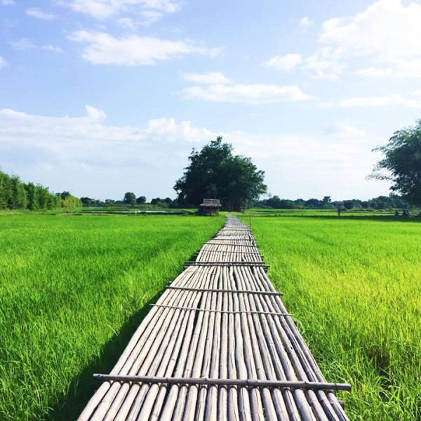 สะพานพราวภูฟ้า นครนายก