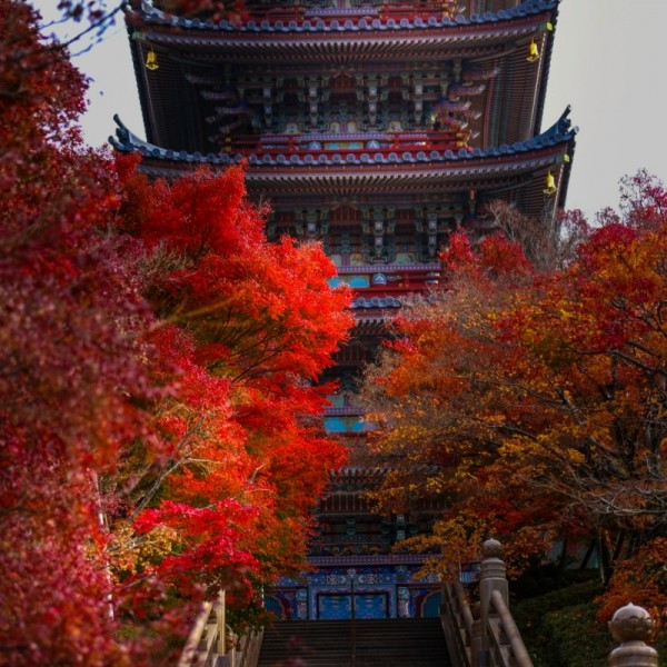 2022.Nenbutsushu_221121_0455