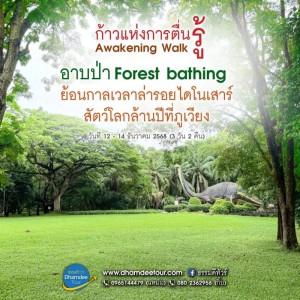 587386095_1297403082404070_5369533404728860734_n-1